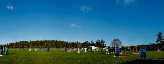 Saanich Shows In the Sun
