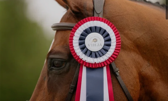 Vancouver Island Hunter Jumper Association